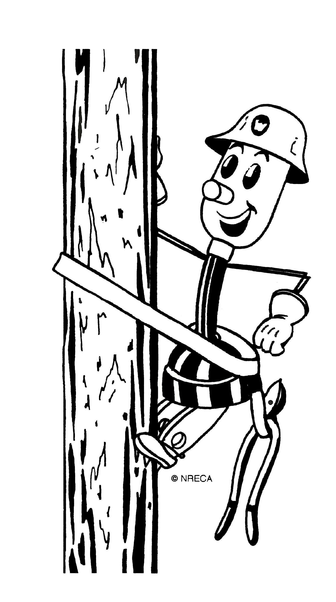 willie climbing pole