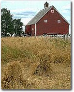 barn