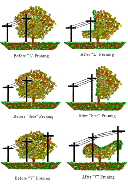 Trimming